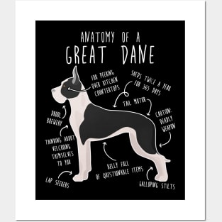 Cropped Mantle Great Dane Dog Anatomy Posters and Art